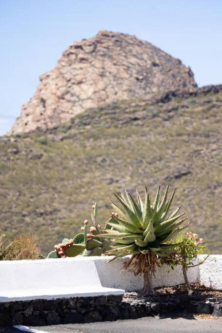 El Retamar, Naturaleza Y Paisajes 산티아고 델 테데 외부 사진